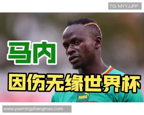 塞内加尔队足球明星的辉煌历程与他们对世界足球的影响
