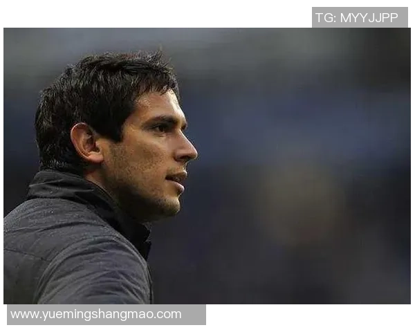 巴乔传奇：从天才少年到世界足球巨星的辉煌历程与感人故事